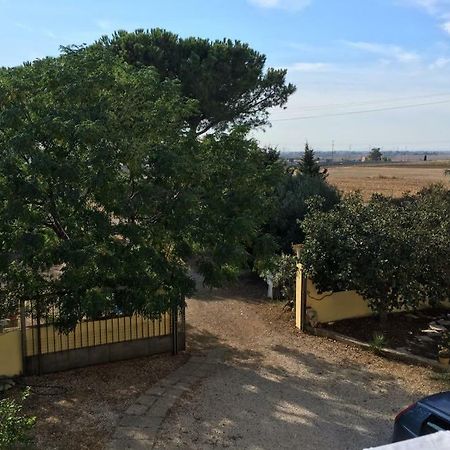 Bed and Breakfast Casale Fernando Tarquinia Exterior foto