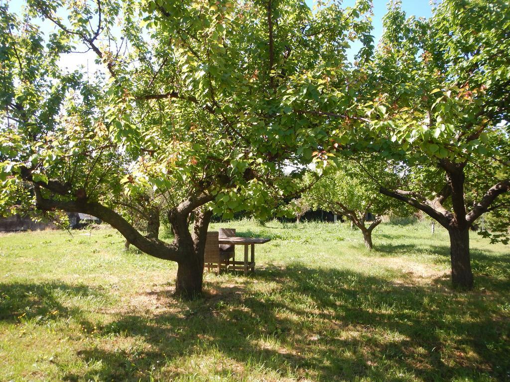 Bed and Breakfast Casale Fernando Tarquinia Exterior foto