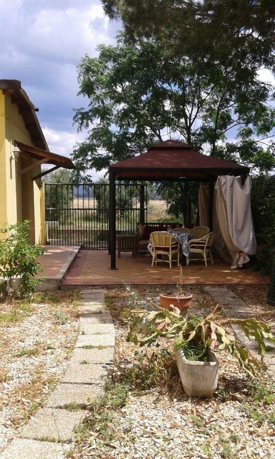 Bed and Breakfast Casale Fernando Tarquinia Exterior foto